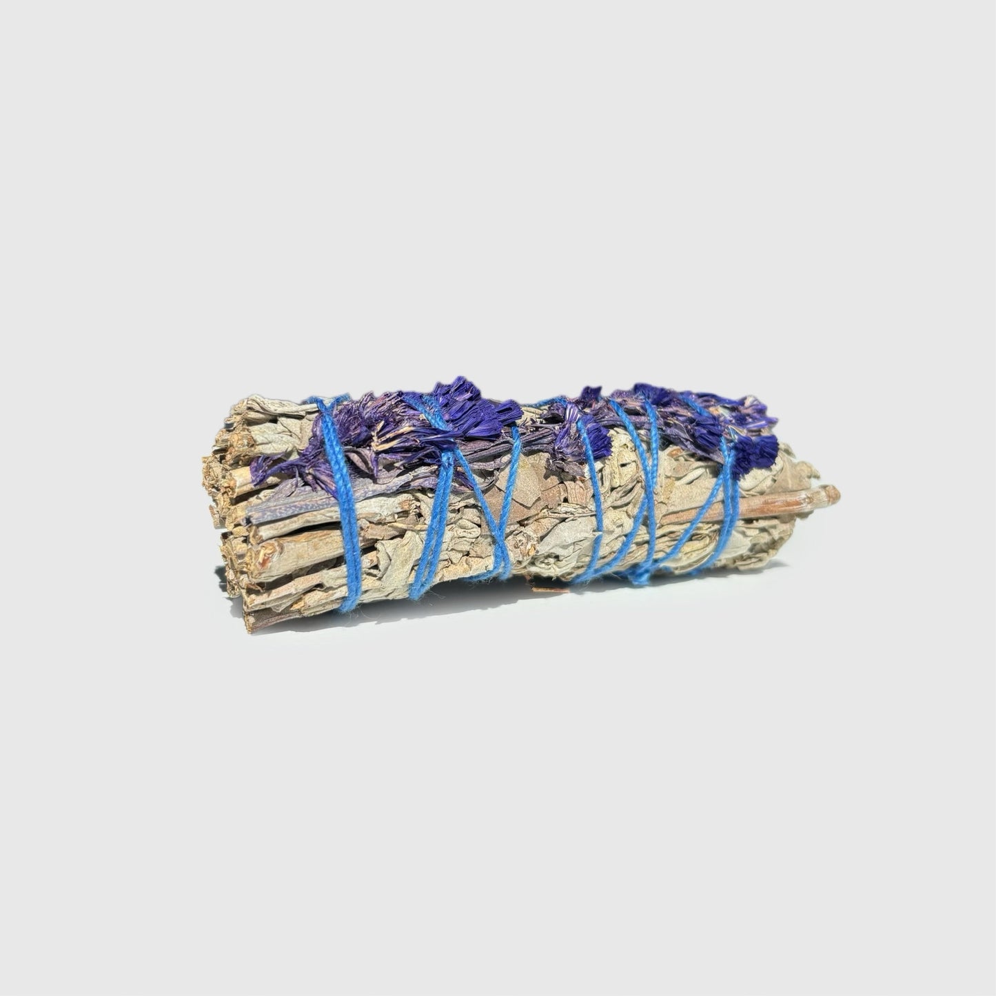 Weißer Salbei mit blauer Sinuata