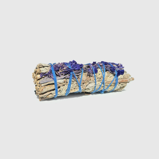 Weißer Salbei mit blauer Sinuata